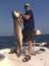 danmarshcobia_small.jpg