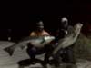 img00708_small.jpg